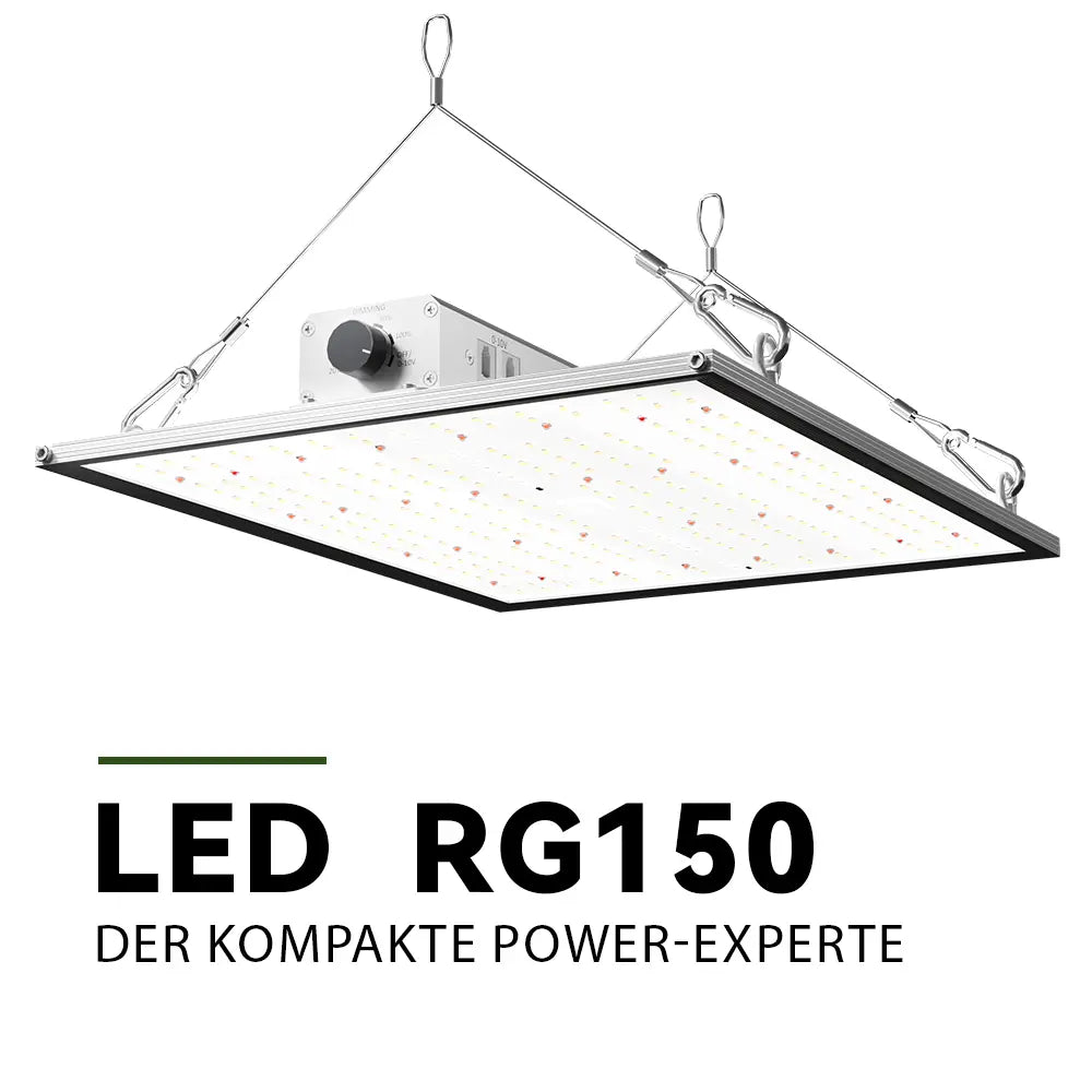 Growealth RG150 LED-Pflanzenlampe fuer einen geplanten Lichtzyklus