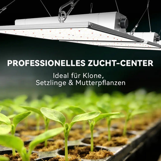 Growealth LED-Pflanzenlampe mit kompaktem Lampenkoerper fuer Platzplanung
