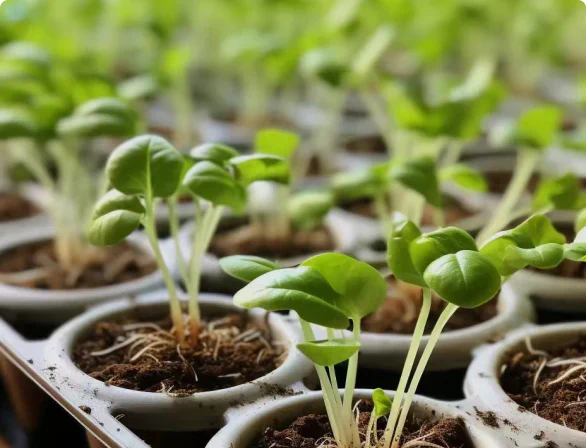 Mastering Indoor Gardening: A Comprehensive Guide to LED Plant Lights for Modern Living