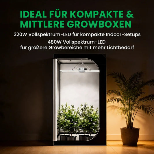 Growealth RG Series LED-Pflanzenlampe als Beispiel fuer Preis pro Watt Vergleich