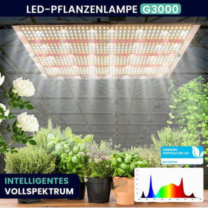 Growealth G3000 300W Vollspektrum-LED-Pflanzenlampe für Growzelte