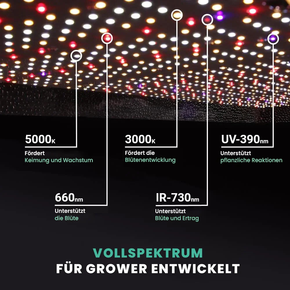 Growealth G3000 300W Vollspektrum-LED-Pflanzenlampe für Growzelte