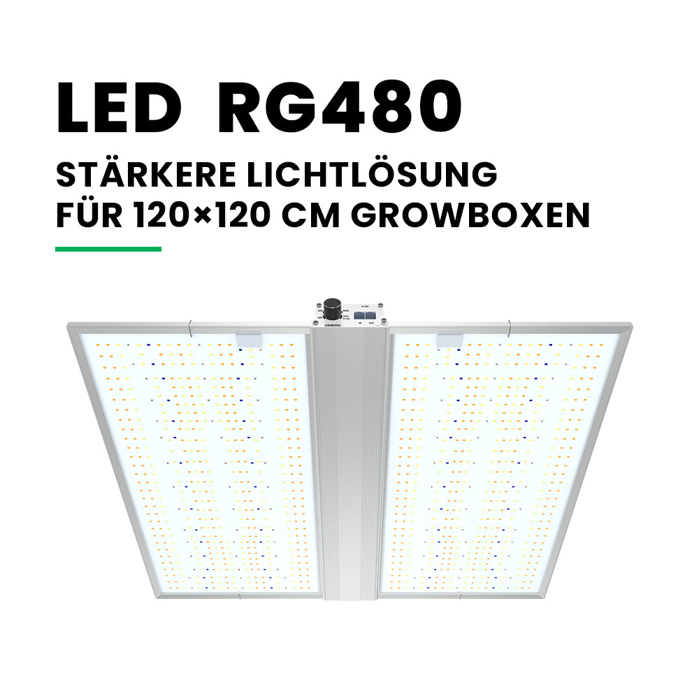 RG Series 320W / 480W Vollspektrum-LED-Pflanzenlampe für Indoor-Growboxen