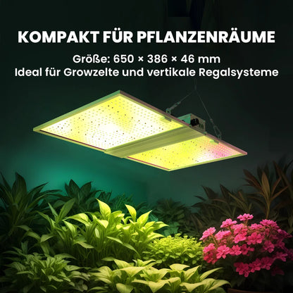 RG Series 320W / 480W Vollspektrum-LED-Pflanzenlampe für Indoor-Growboxen
