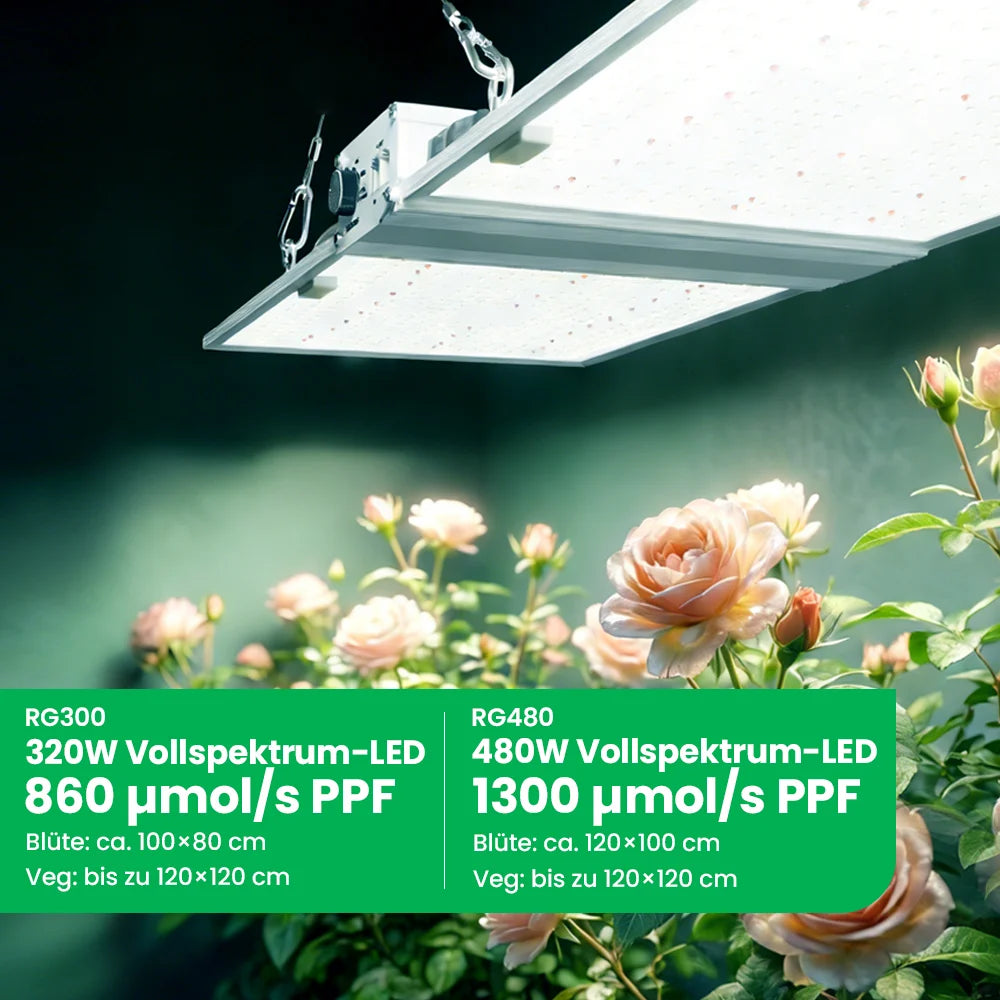 RG Series 320W / 480W Vollspektrum-LED-Pflanzenlampe für Indoor-Growboxen